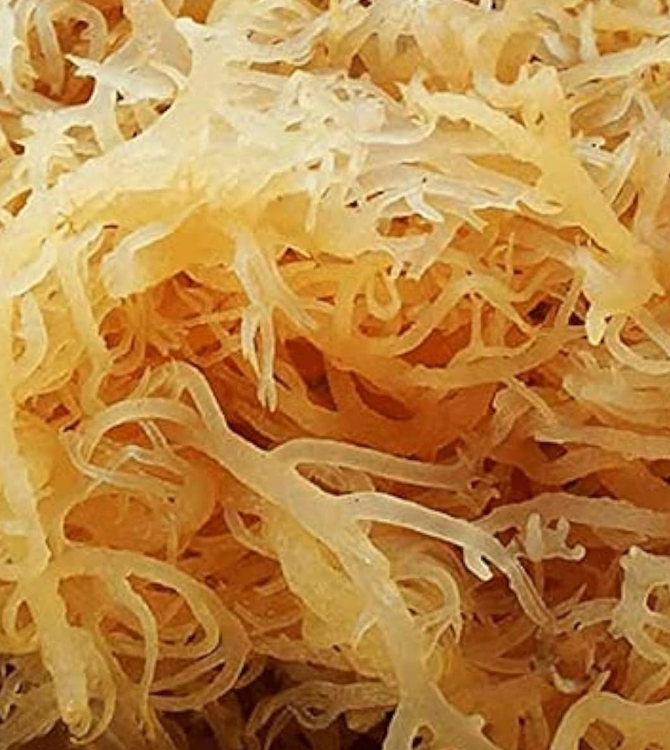 Sea moss